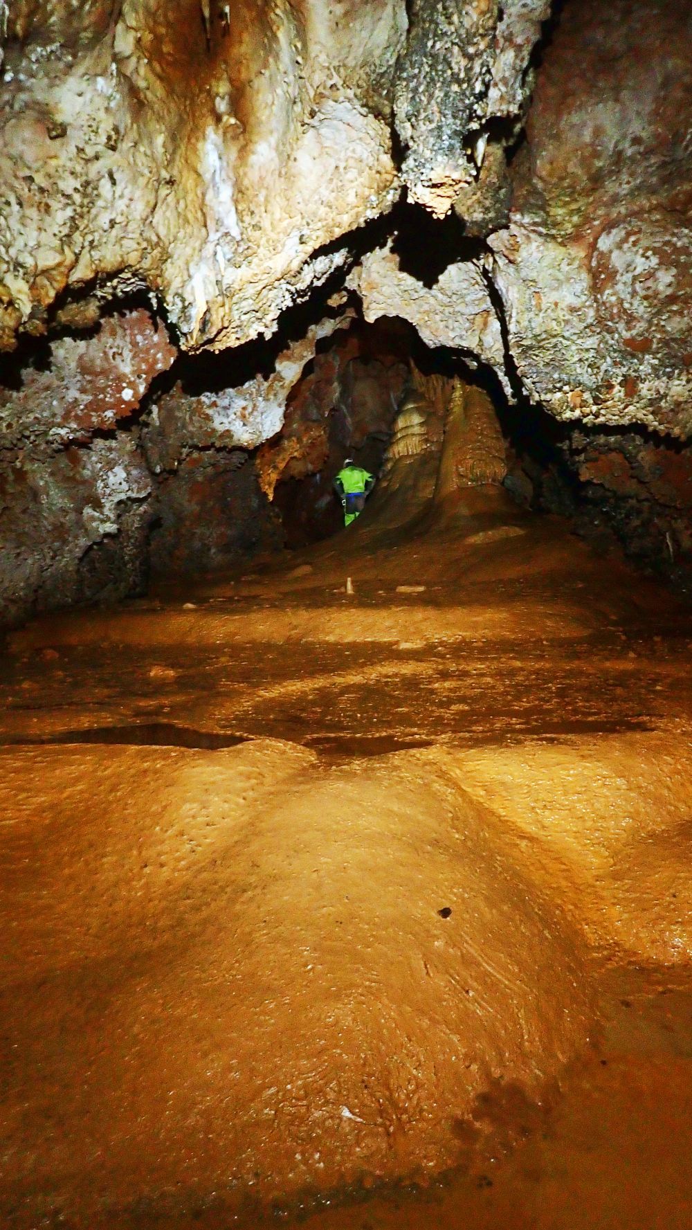 PA010313_web.jpg