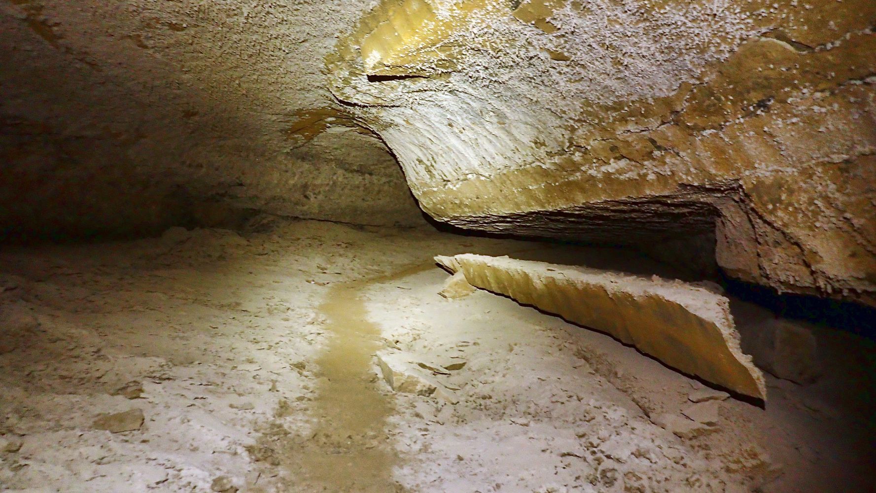 PA280074_web.jpg
