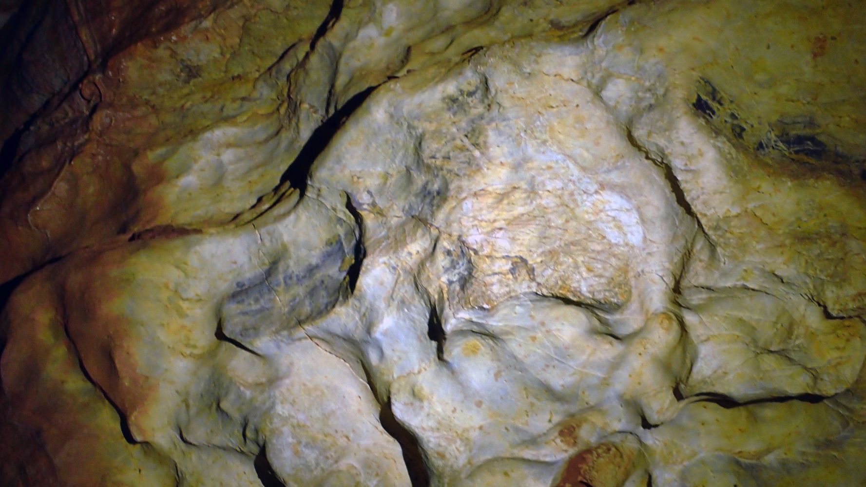 P2250108_web.jpg