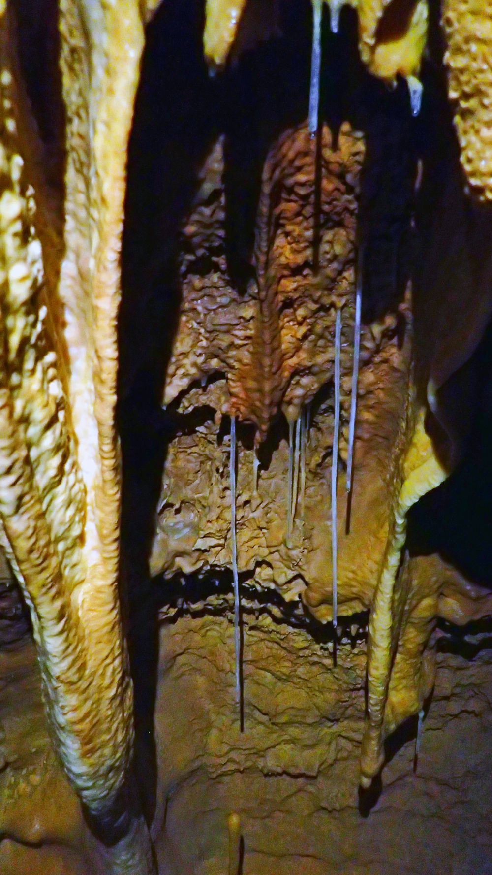 P2220249_web.jpg