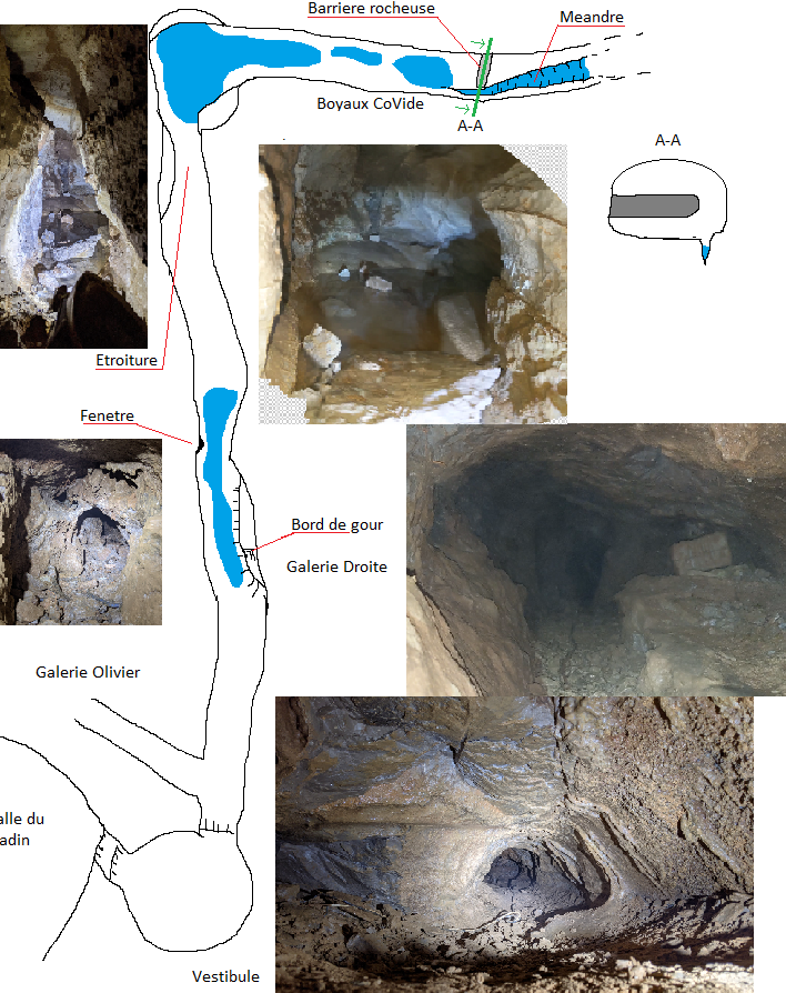 20201230-croquis gal droite covid.png