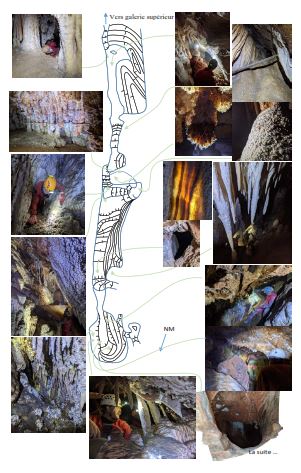Croquis de CS - Arbousier Janvier.jpg